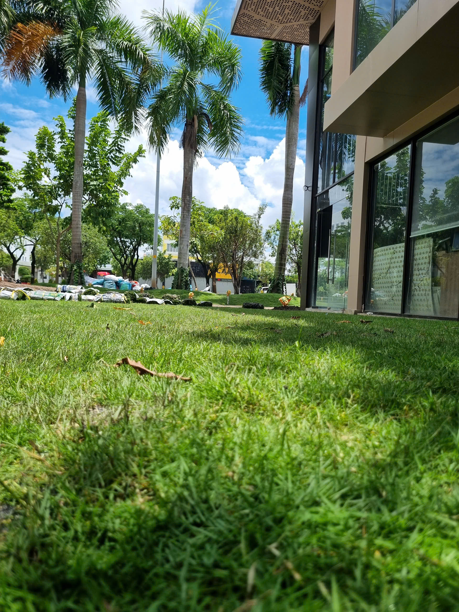 Trồng cây xanh công trình