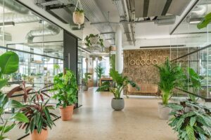 cay-xanh-trang-tri-trong-van-phong