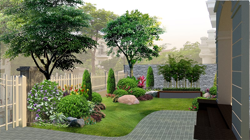 cây bóng mát sân vườn biệt thự